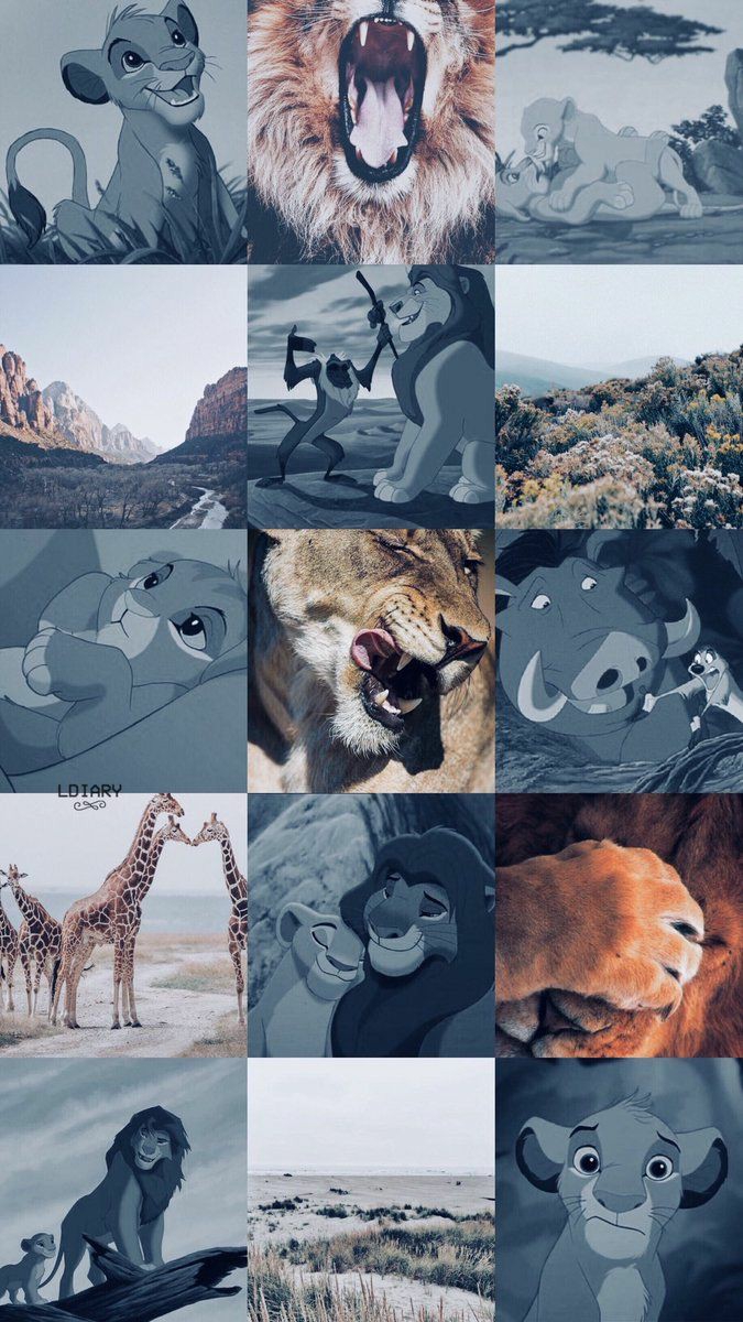 Lion king