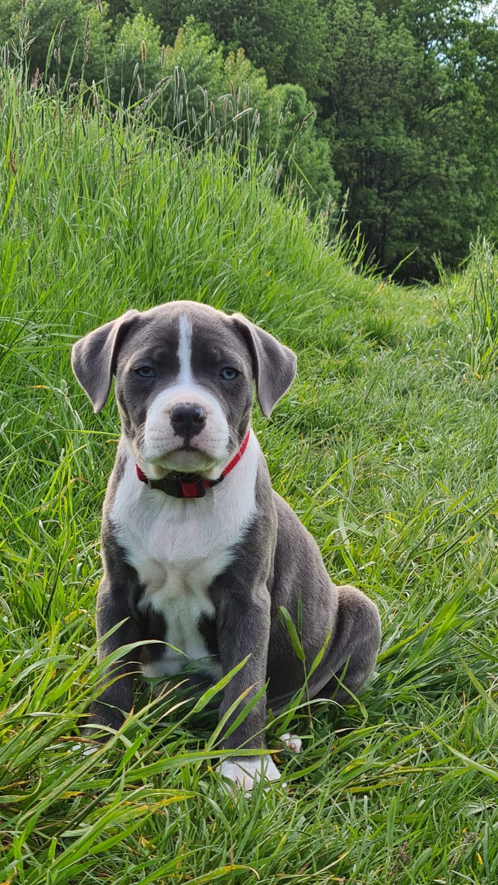 mia