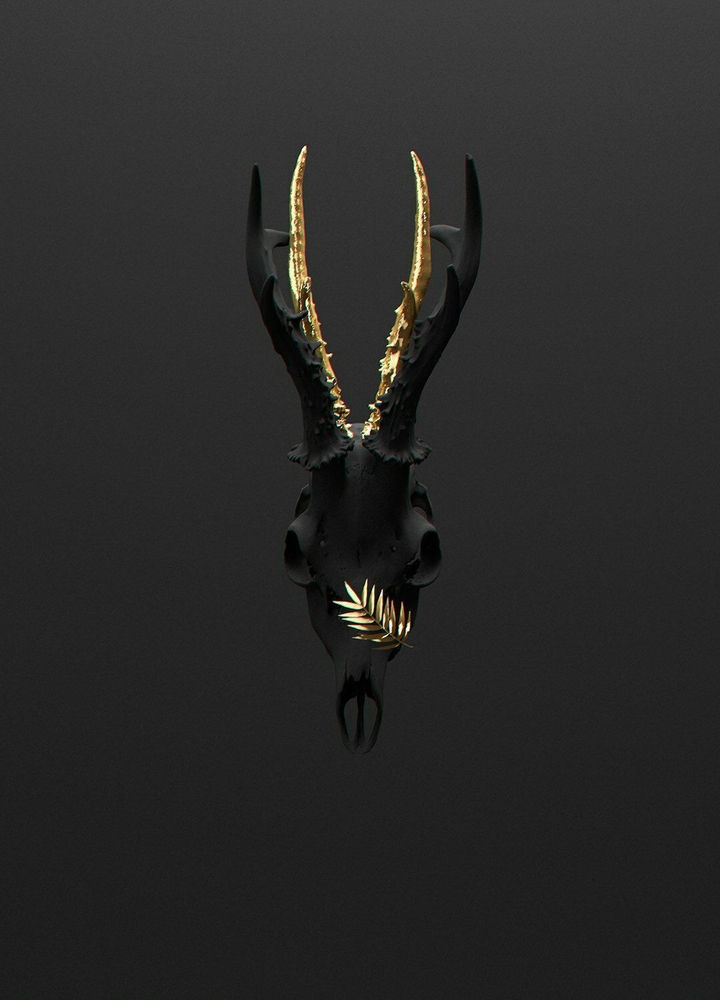 black &gold