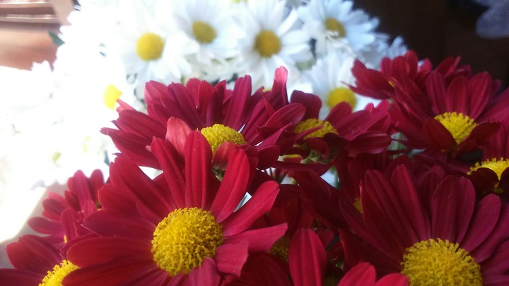 vermelho e branco
