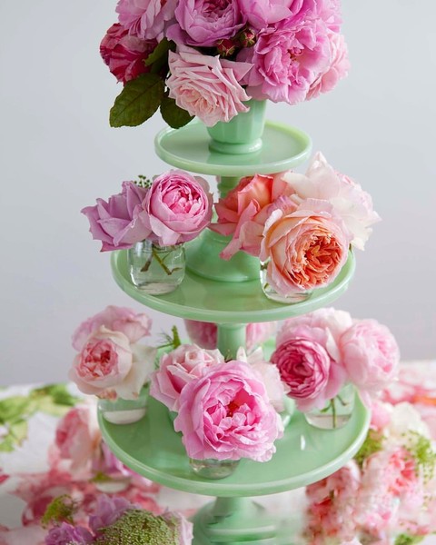 Roses