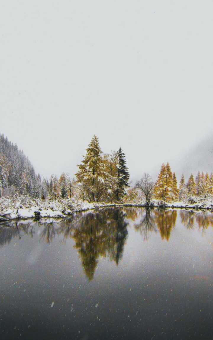 Lago