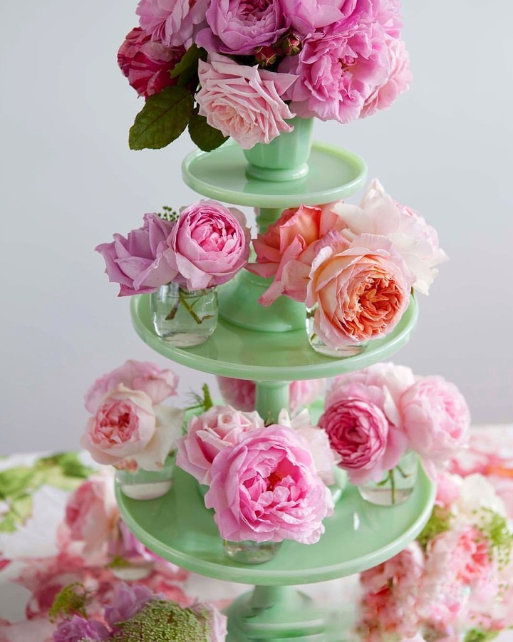 Roses