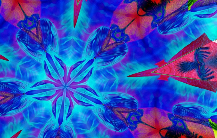 holographic fairy and the Phoenix kaleidoscope