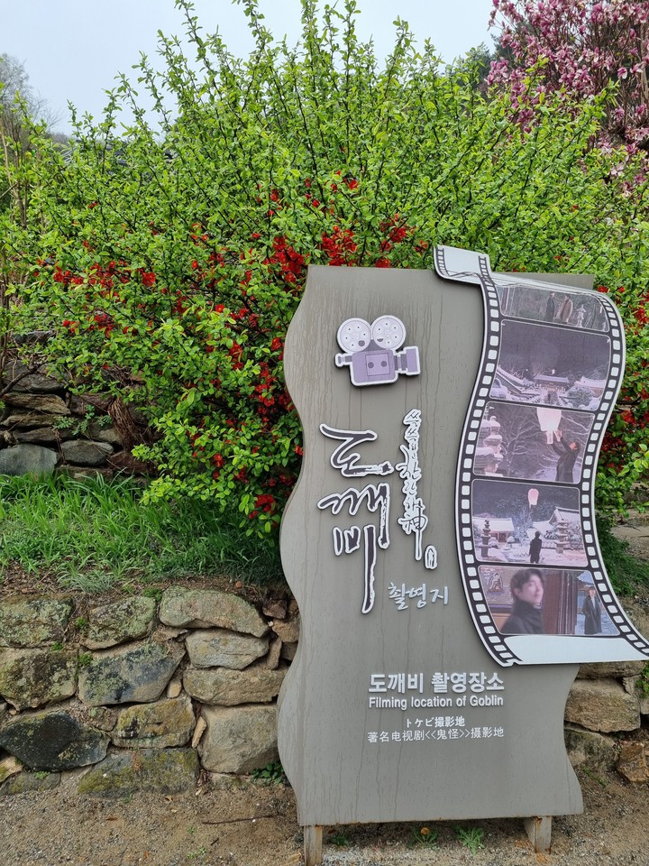 도깨비촬영