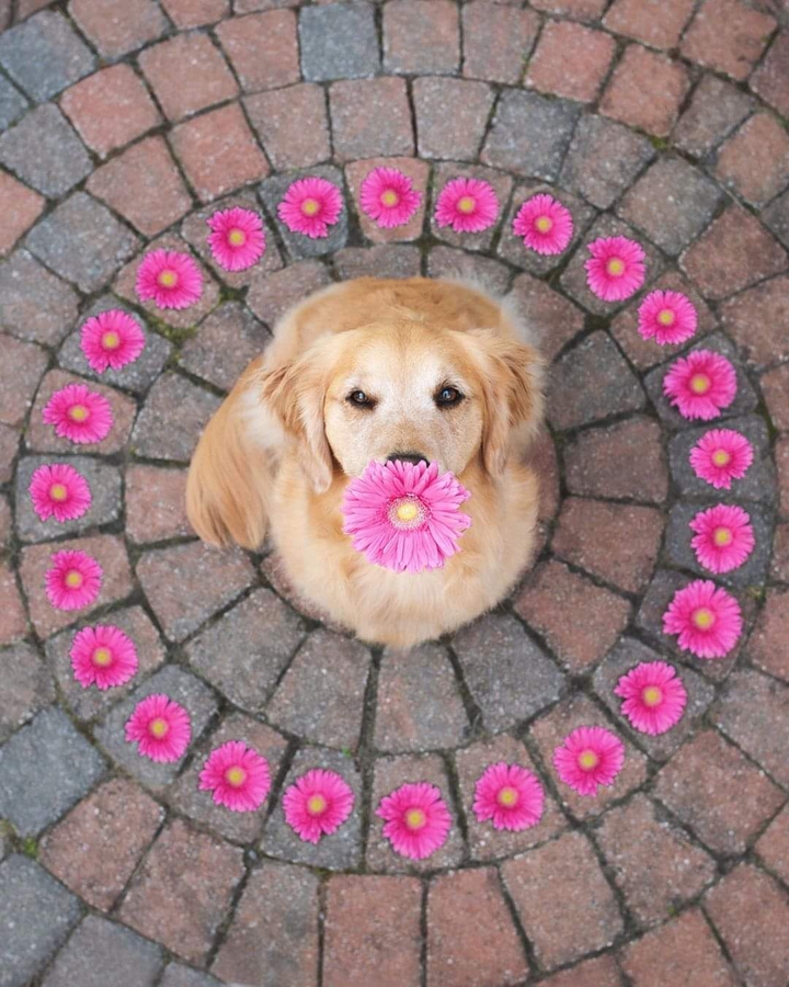 .