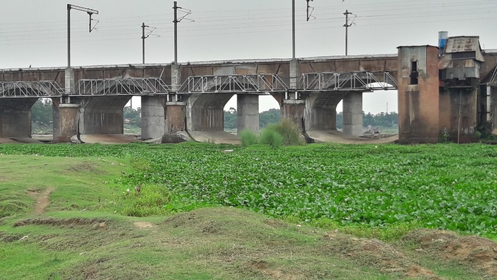 Bridge
