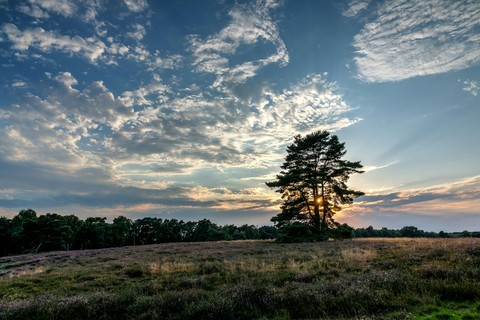 Natural Scenery