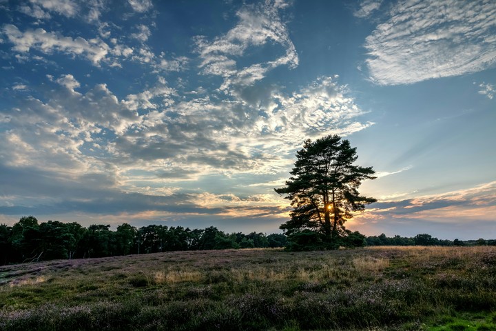 Natural Scenery