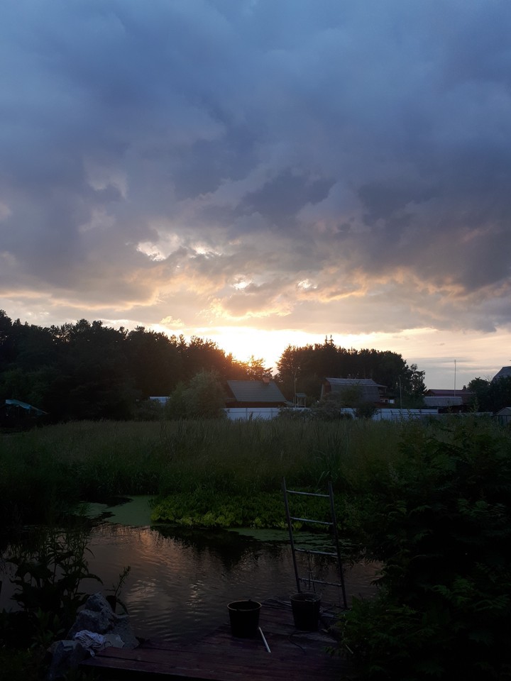 sunset