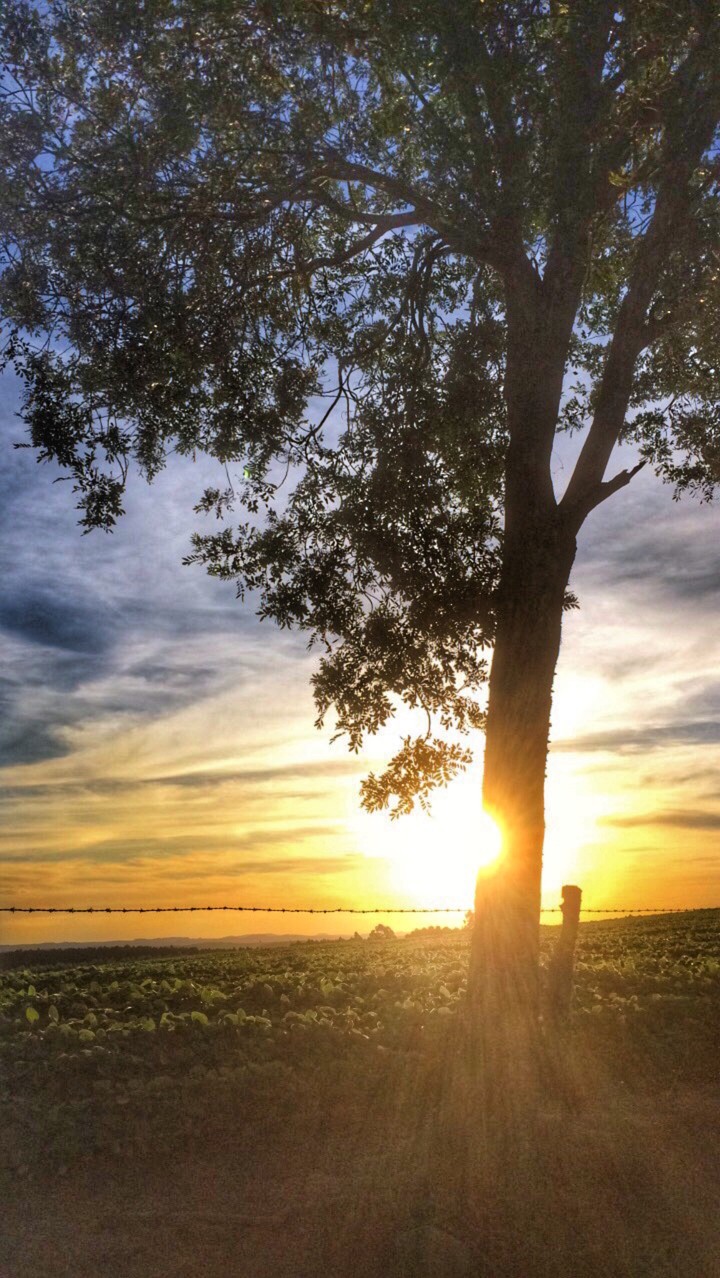 Fim de tarde, pôr do sol. Brasil.