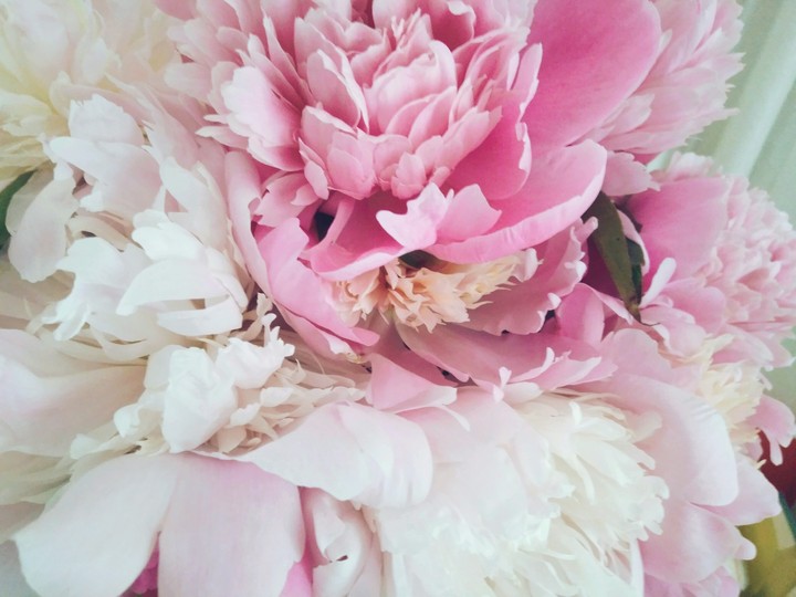 Peony