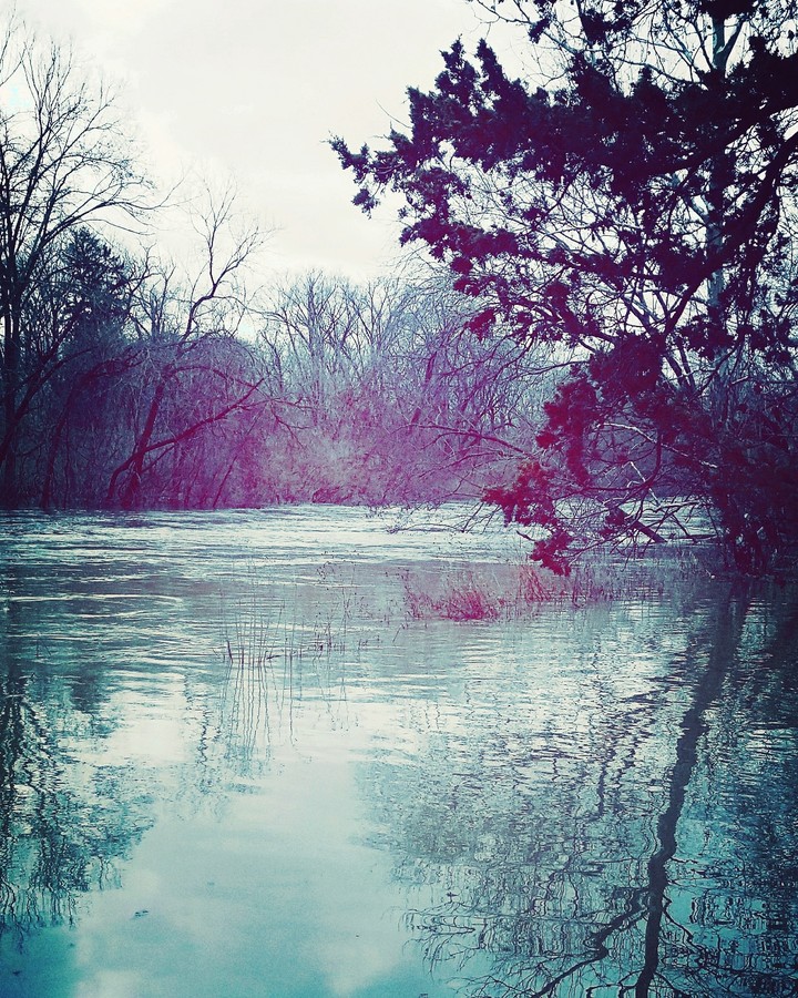 Flooded