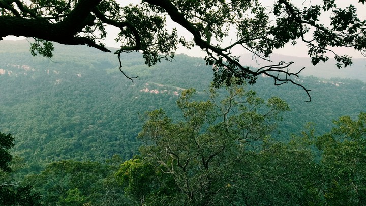 Tirumala