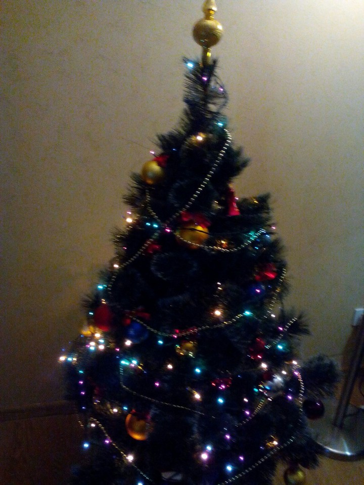 New Year tree