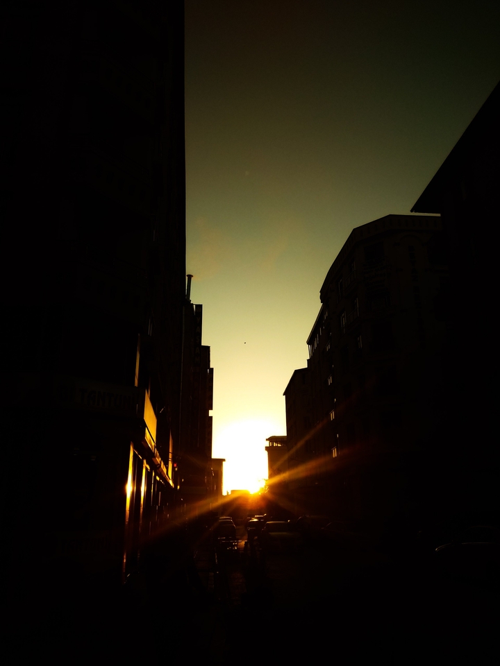 sound of the silence