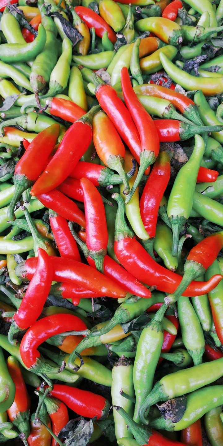 Red Chillies