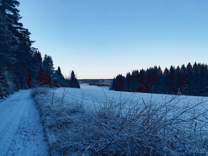 winter
