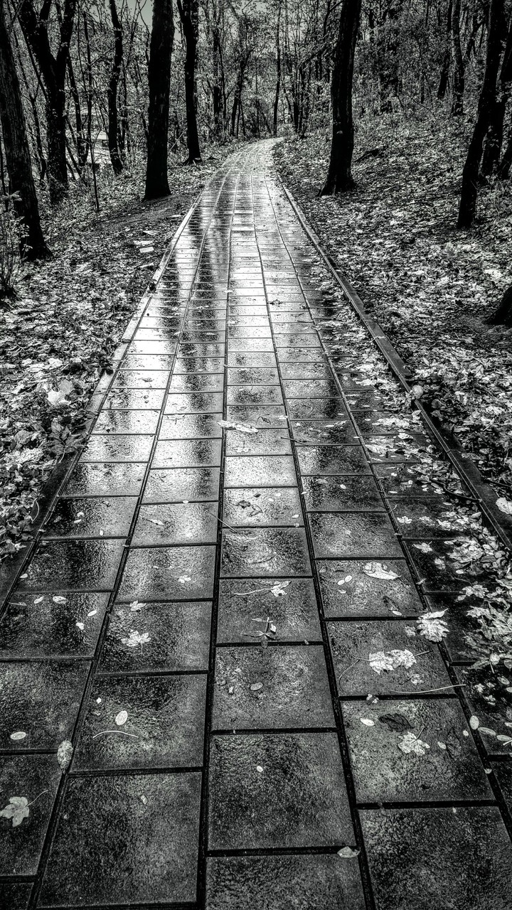WalkWalk
