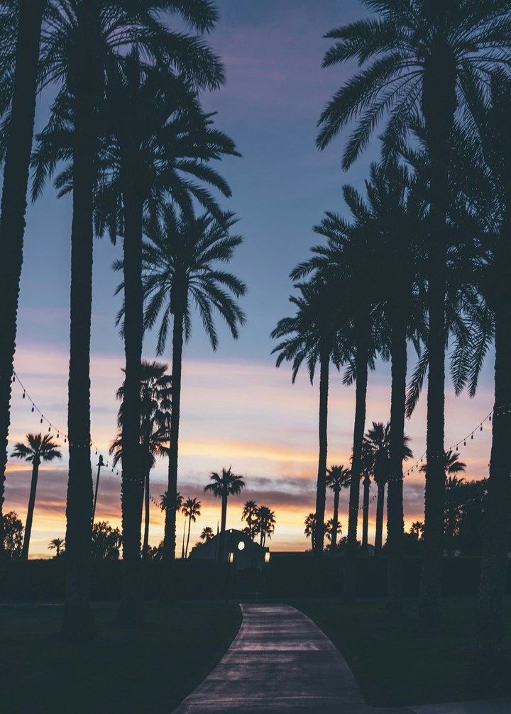 L.A