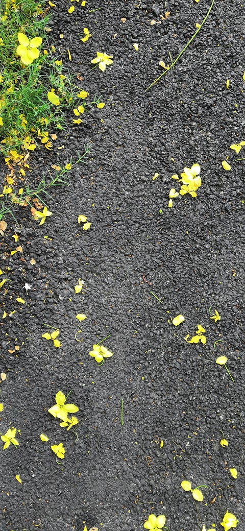 road