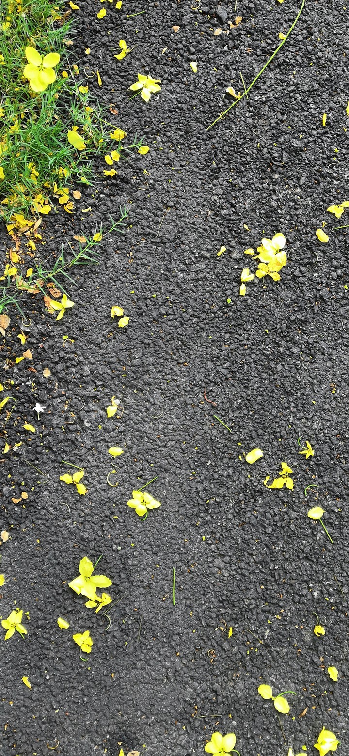 road