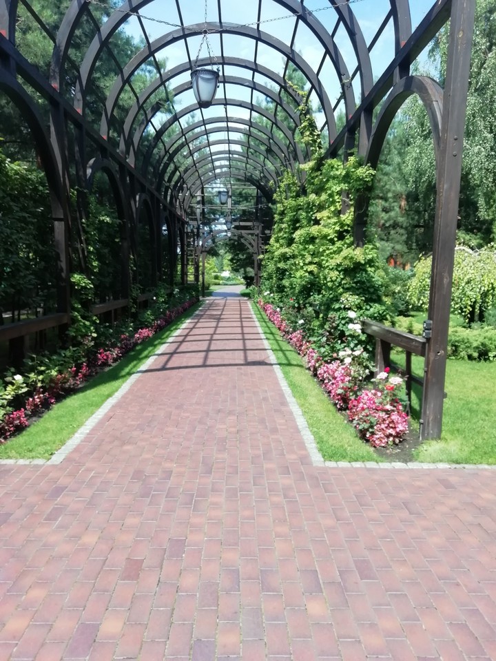Garten