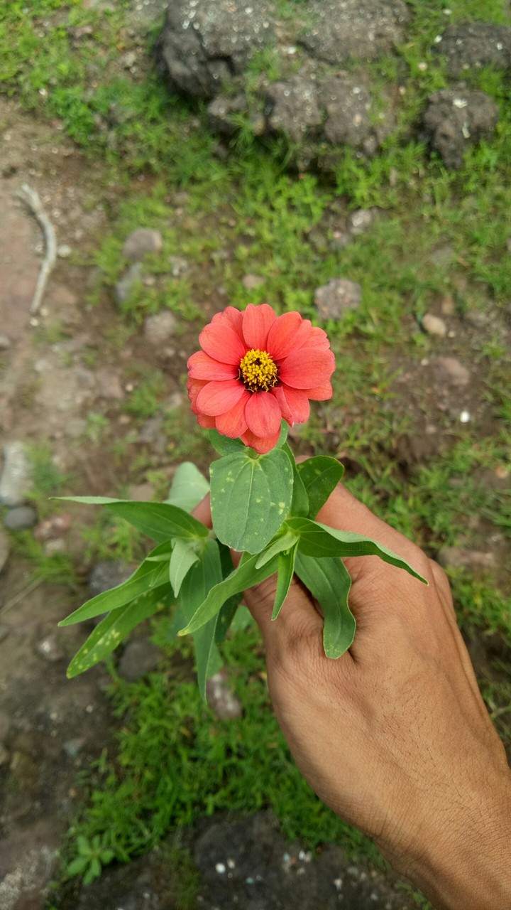 Have good time...