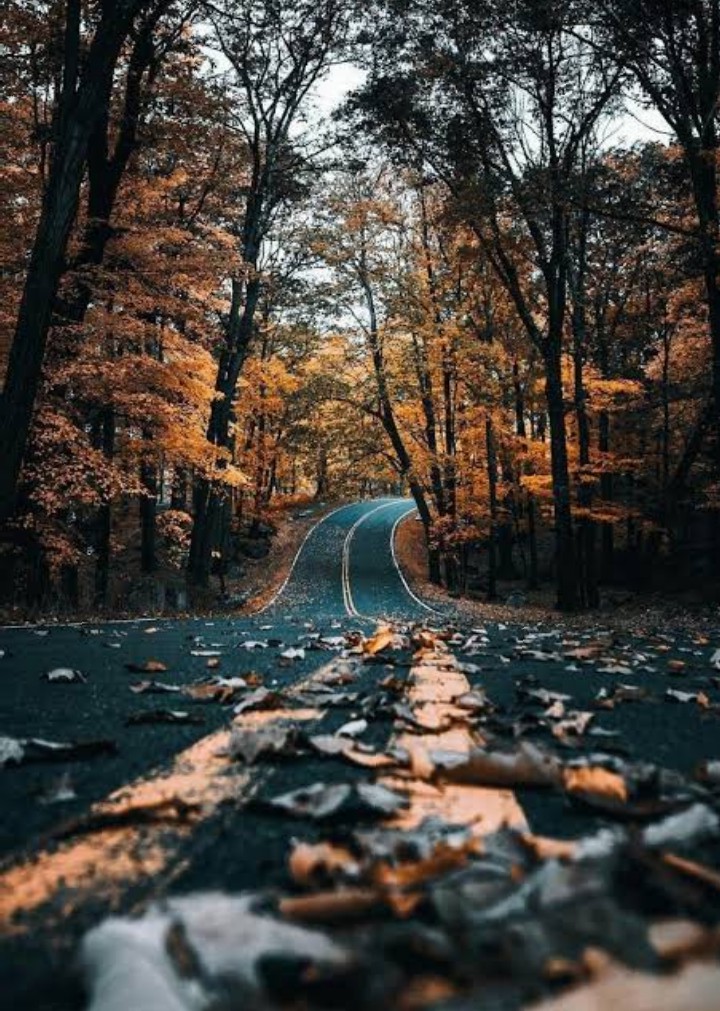 Don't stop treading your path (. ❛ ᴗ ❛.)