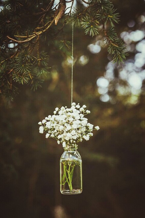 flower in vase