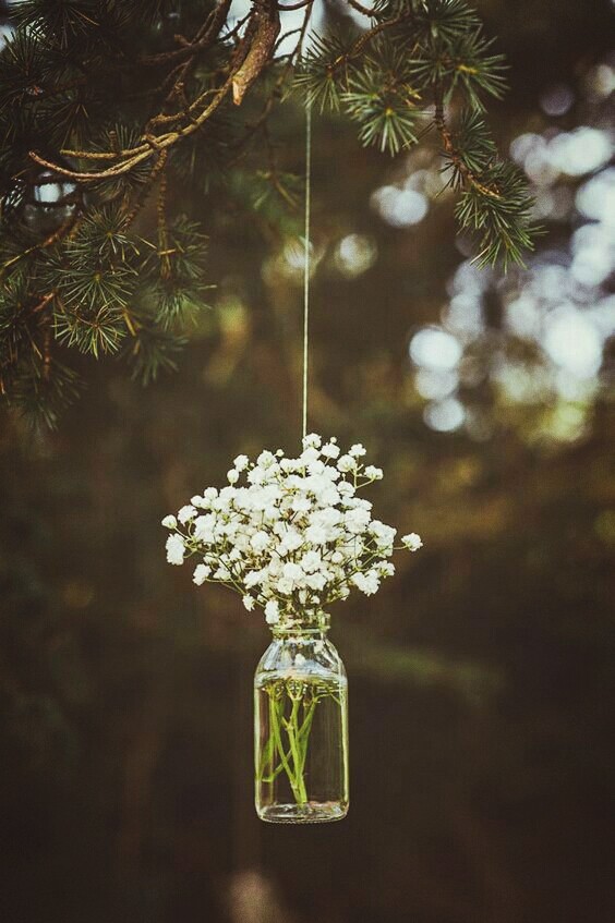 flower in vase