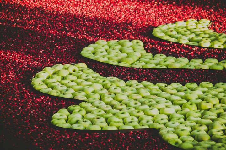 Fruits