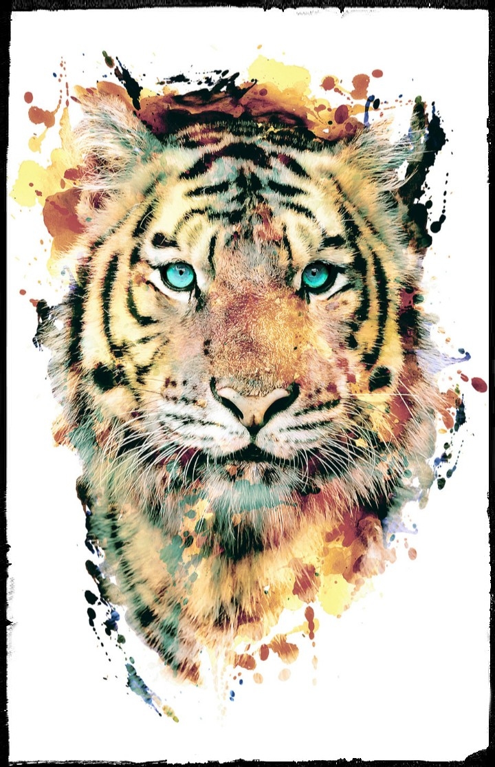 tigre
