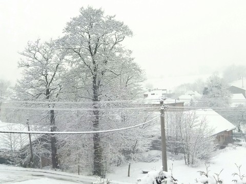 It's winter