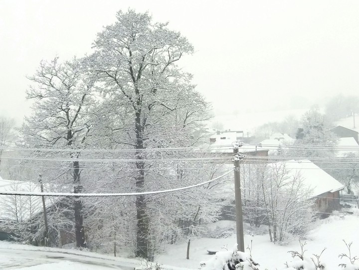 It's winter