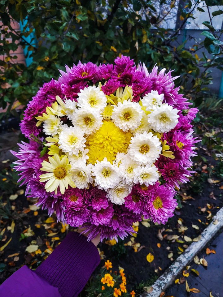 flowers
