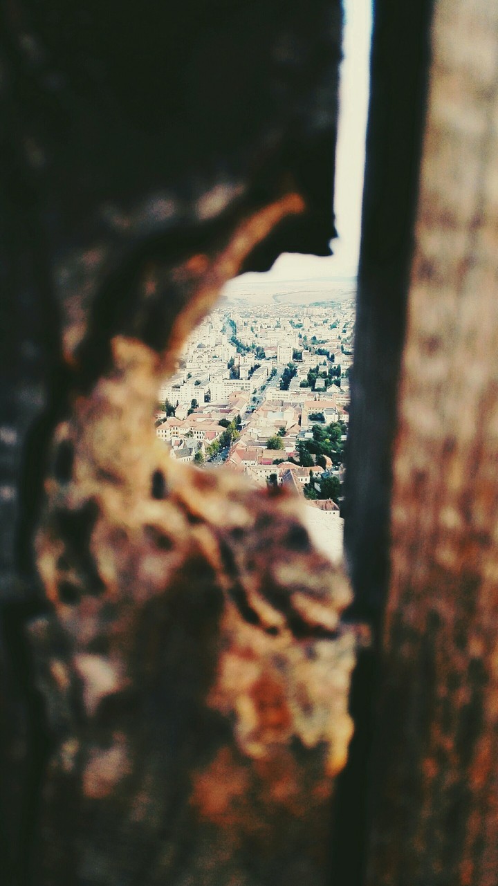 Hometown