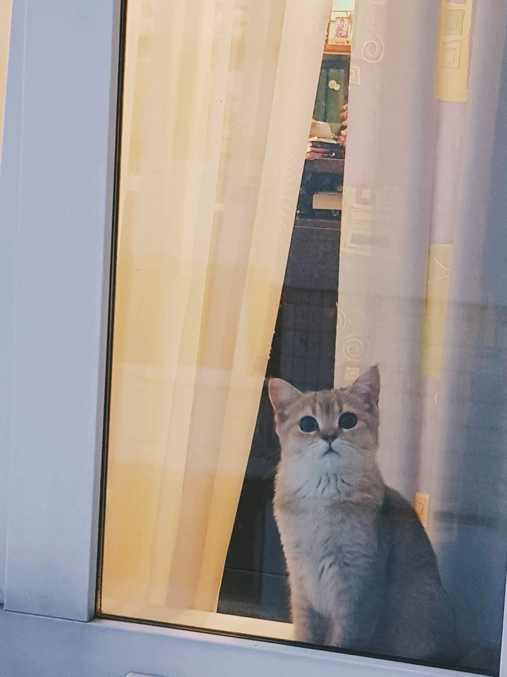 miay