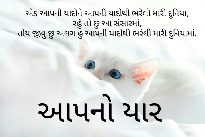 Aapka yar
