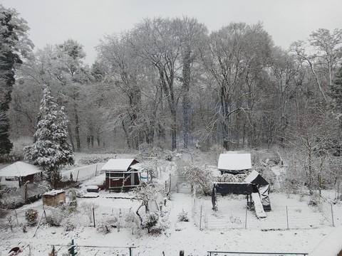 freezing, snow wallpapers