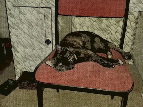 sleeping