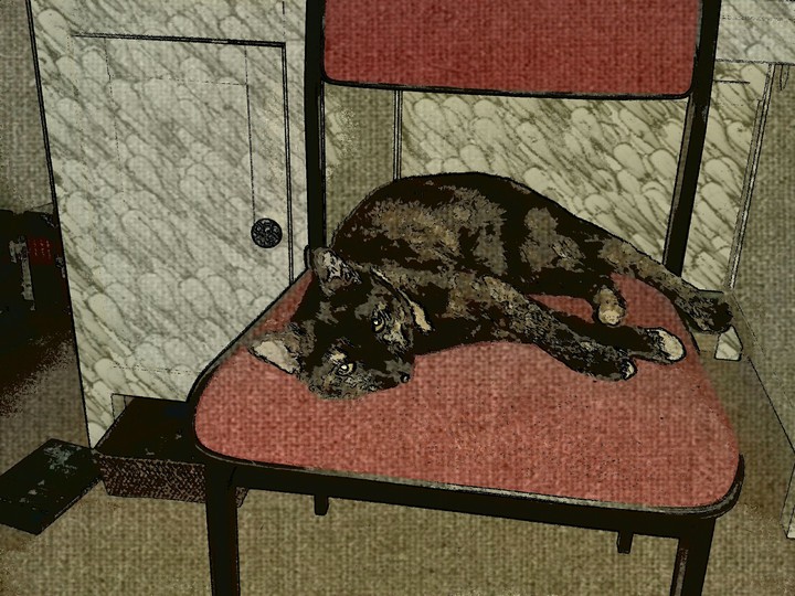 sleeping