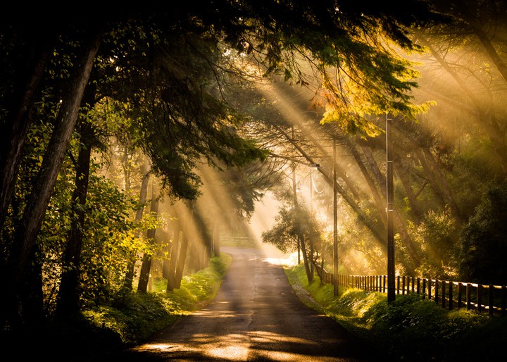 There Is a Light That Never Goes Out