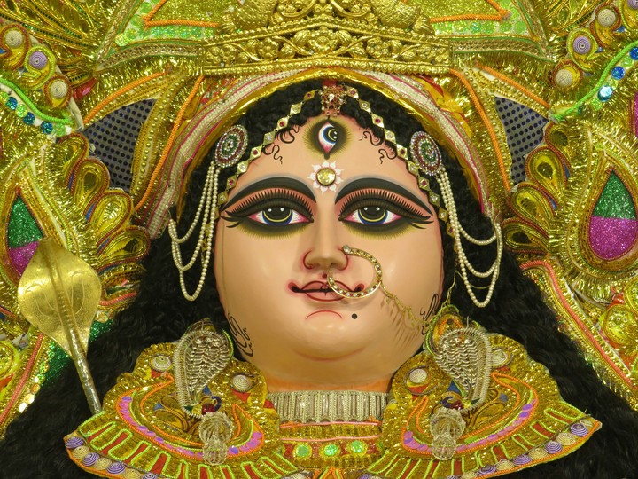 Jagadhatri puja special