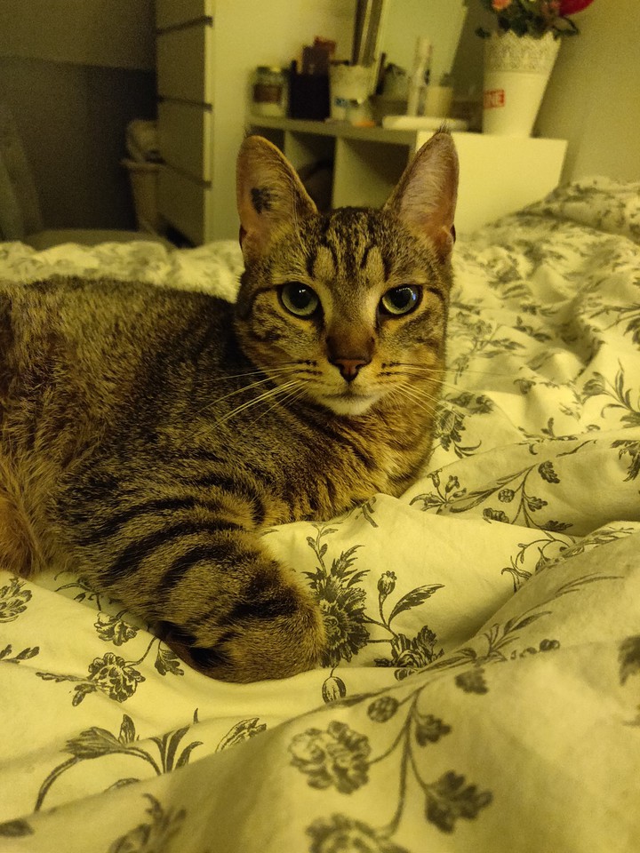 a staring gaze