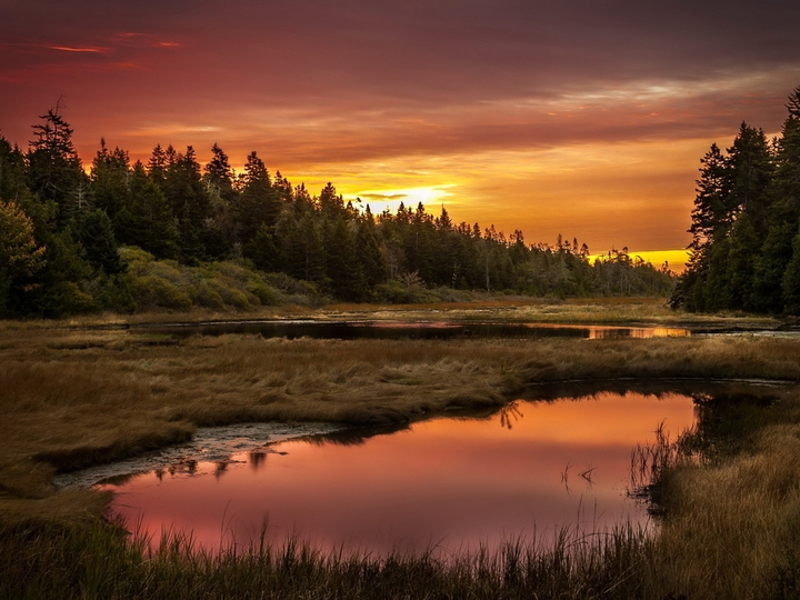 Sunset