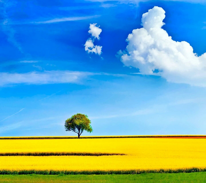 Sky