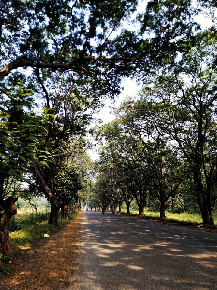 Boulevard