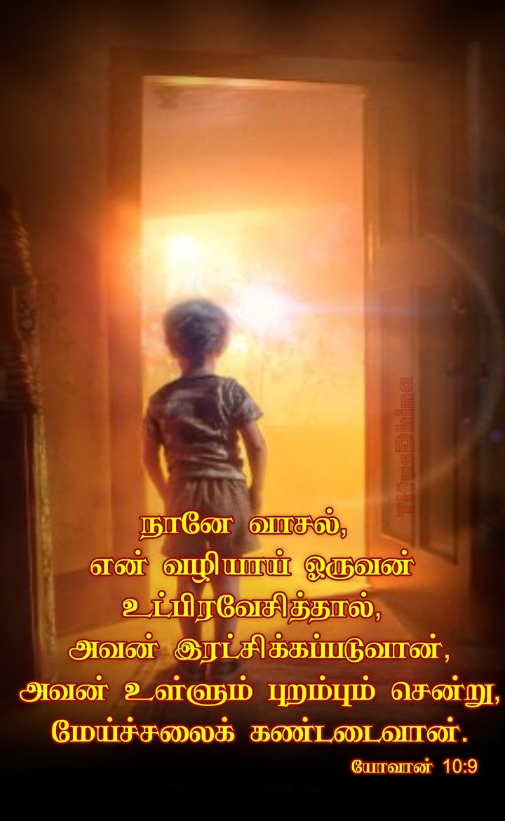 God's promise