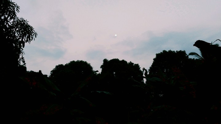 Moon, is that you?
